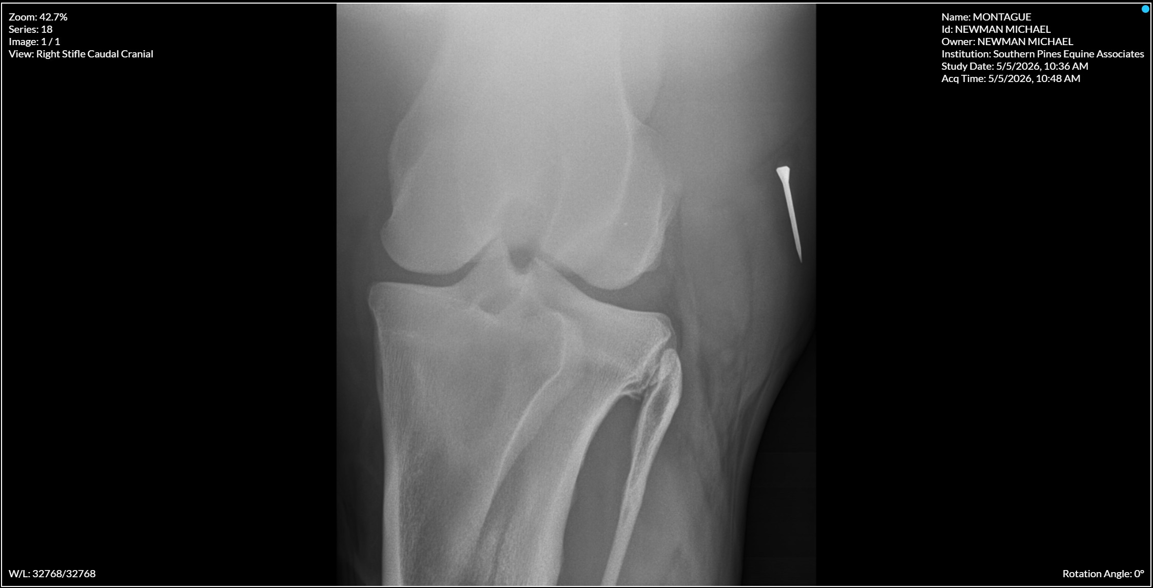 Right Stifle Caudal Cranial